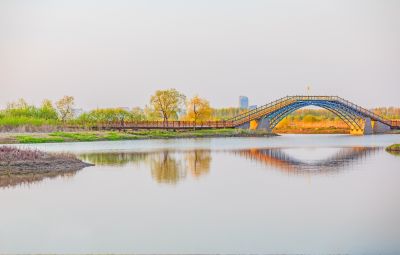 外滩湿地春色 