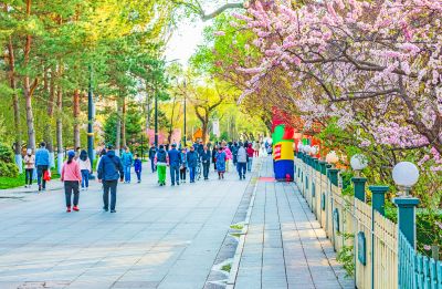 斯大林公园江畔春色