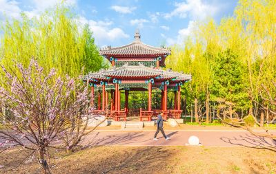 中国亭园春季花开
