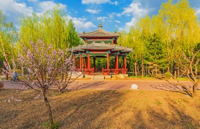 中国亭园春季花开