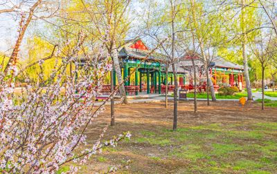 中国亭园春季花开