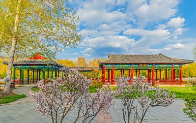 中国亭园春季花开