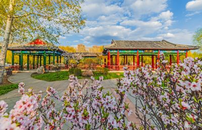 中国亭园春季花开