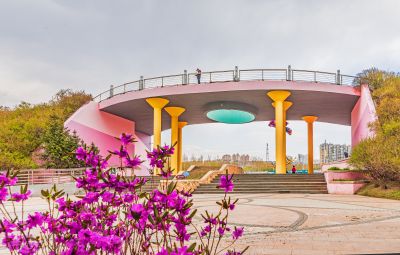 丁香公园丁香花开