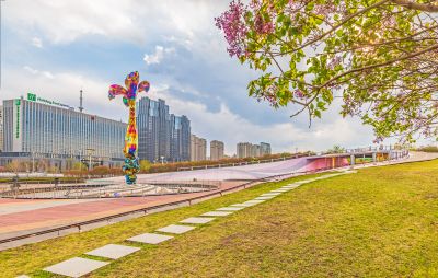 丁香公园丁香花开