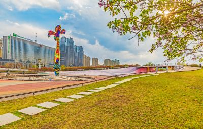 丁香公园丁香花开
