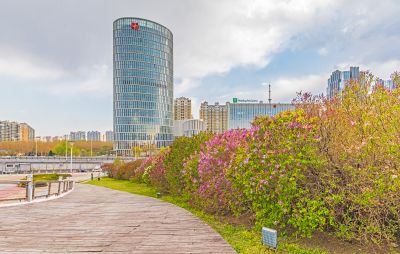 丁香公园春色