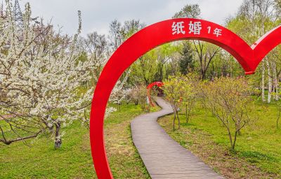 春天的黛秀湖公园花开