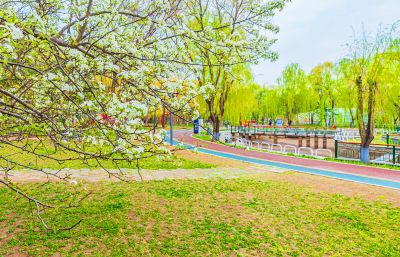 春天的黛秀湖公园