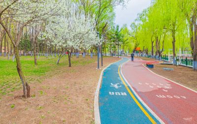 春天的黛秀湖公园