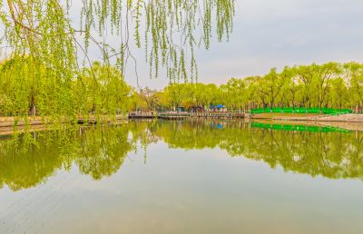 春天的黛秀湖公园