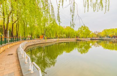 春天的黛秀湖公园