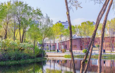 丁香公园春色