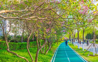 松花江畔九站公园春色