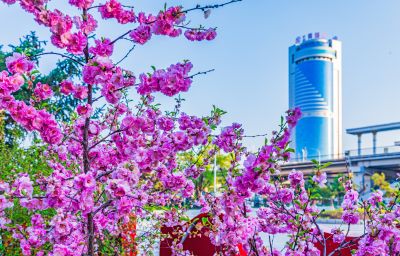 松花江畔九站公园春色