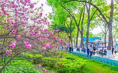 松花江斯大林公园江畔春光
