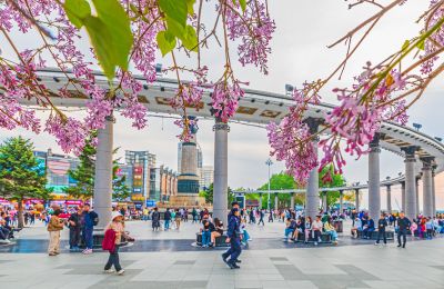 松花江斯大林公园江畔春光