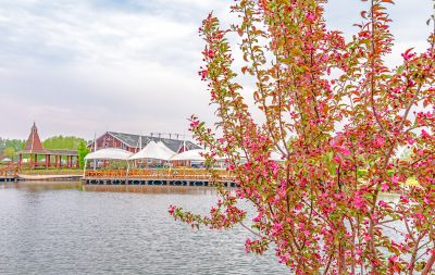 春到长岭湖 