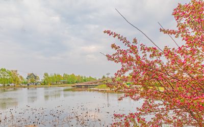春到长岭湖 
