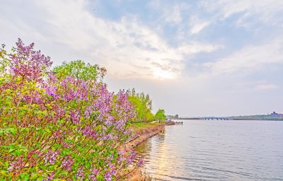 春到长岭湖 