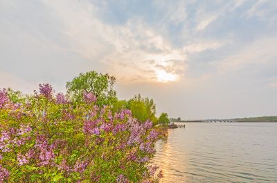 春到长岭湖 