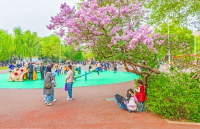 儿童公园春色