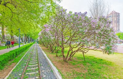 儿童公园春色