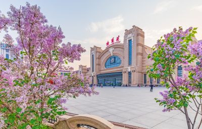 春季哈尔滨火车站南北广场丁香花开