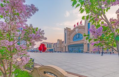 春季哈尔滨火车站南北广场丁香花开