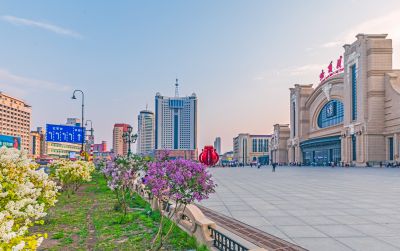 哈站南北广场丁香花开