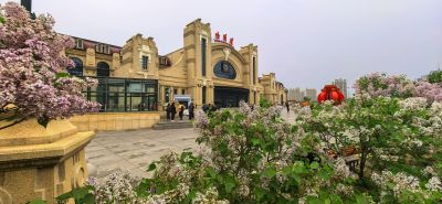 丁香花