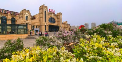 丁香花