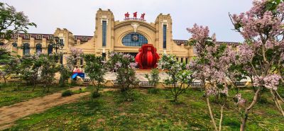 丁香花