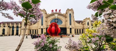 丁香花