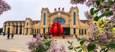 丁香花