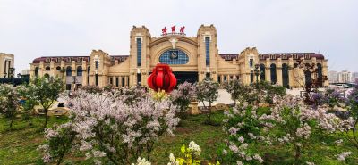 丁香花