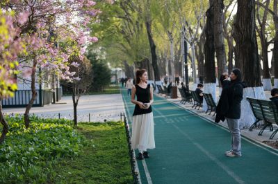 斯大林公园丁香花开游人拍照