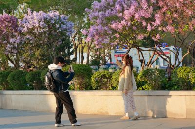 斯大林公园丁香花开游人拍照