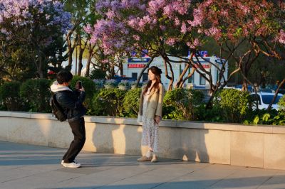 斯大林公园丁香花开游人拍照