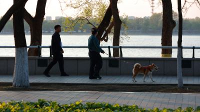 斯大林公园丁香花开游人拍照