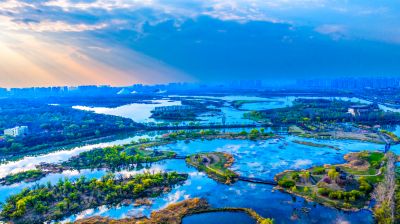太阳岛湿地