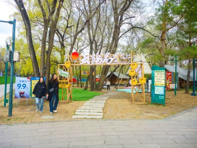 太阳岛帐篷营地