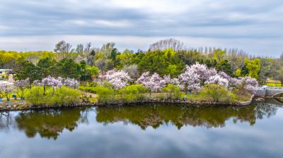 春季太阳岛公园