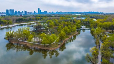 春季太阳岛公园