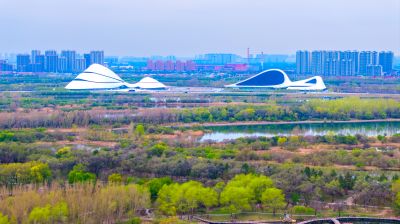春季太阳岛公园