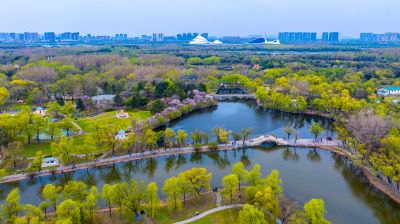 5月1日--航拍五一假期太阳岛
