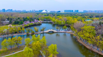 5月1日--航拍五一假期太阳岛