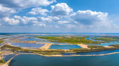 松北松花江湿地