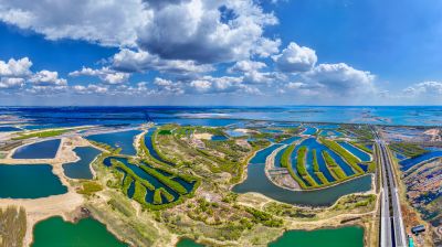 松北松花江湿地