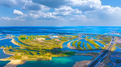 松北松花江湿地